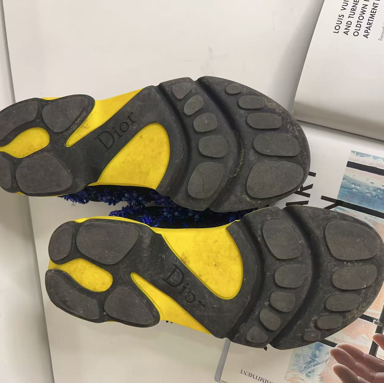 Christian Dior Blue with Sequins Yellow 3D Flowers Sneakers