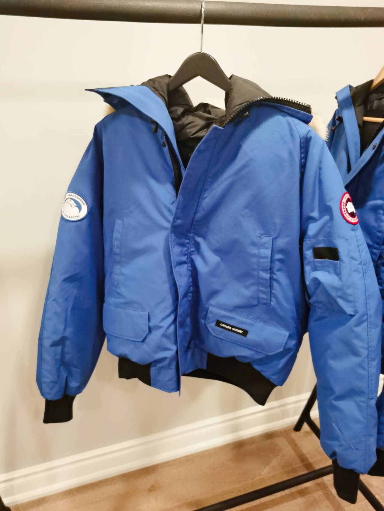 Canada goose hotsell chilliwack bomber pbi