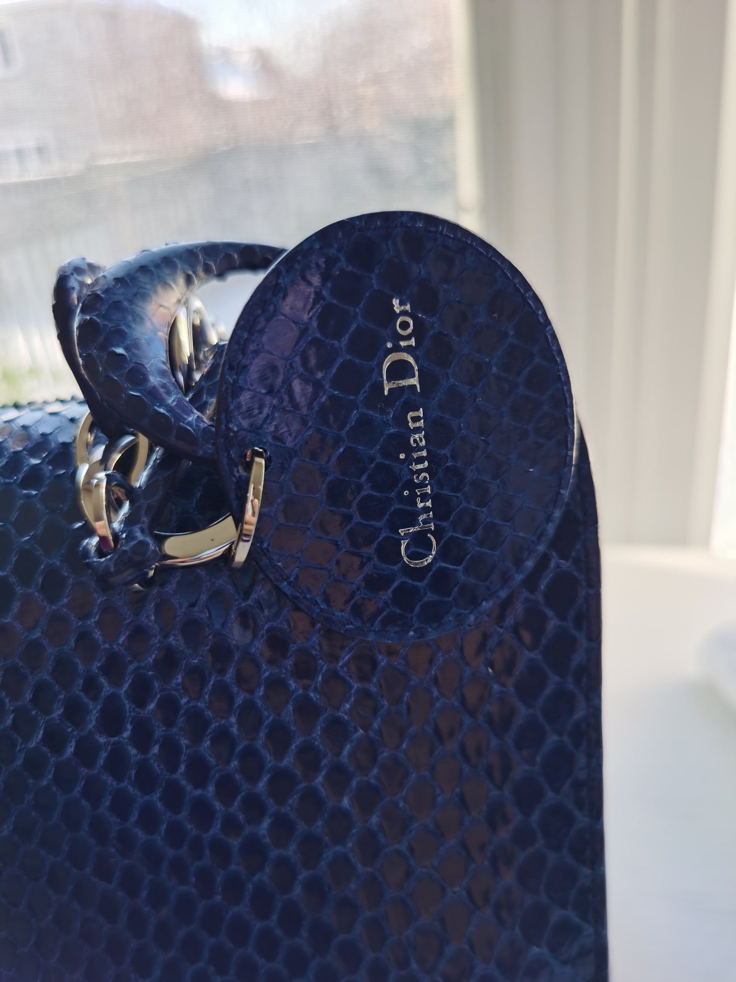 Christian Dior Be Dior flap bag in metallic Blue python.