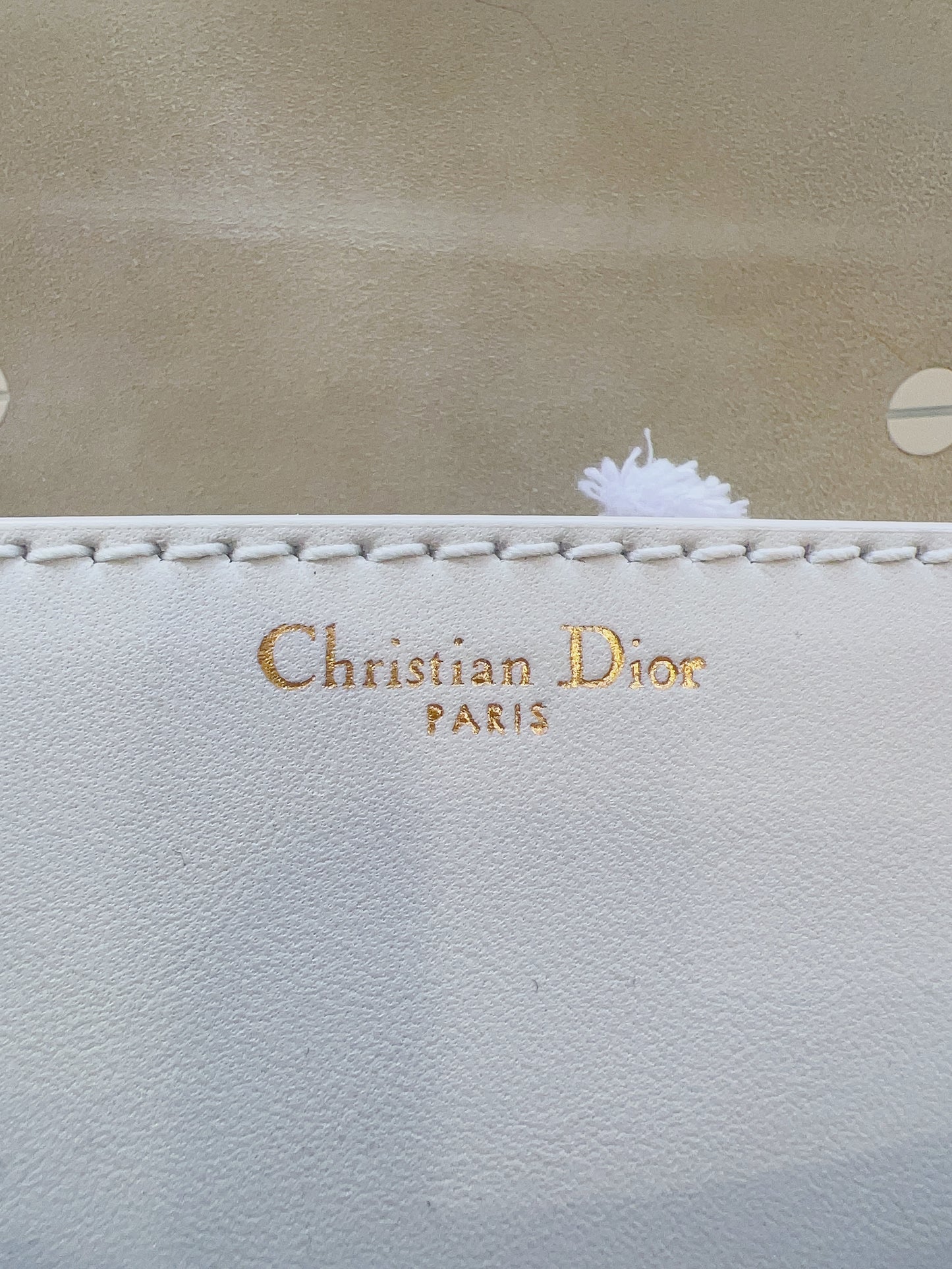 Christian Dior Ultra Matte J'Adior Flap Bag Matte Calfskin Mini